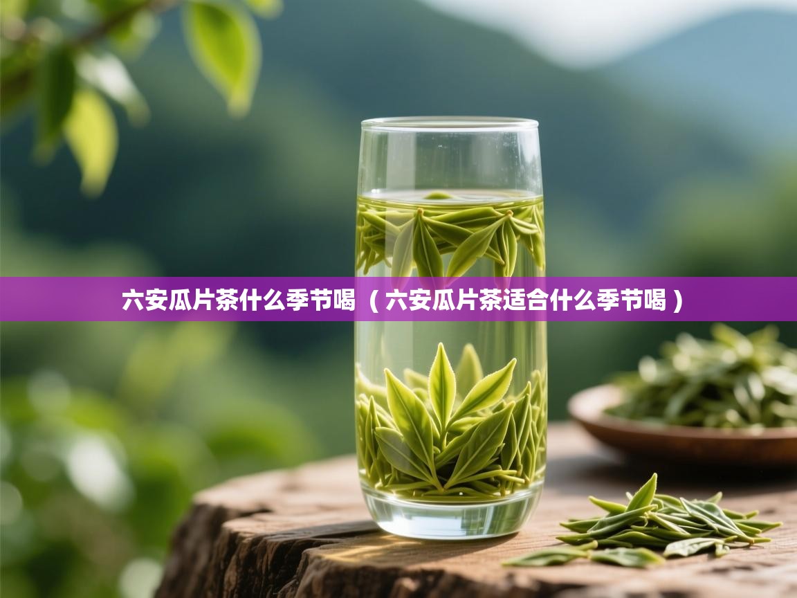 六安瓜片茶什么季节喝 ( 六安瓜片茶适合什么季节喝 ) 六安瓜片茶什么季节喝 ( 六安瓜片茶适合什么季节喝 )
