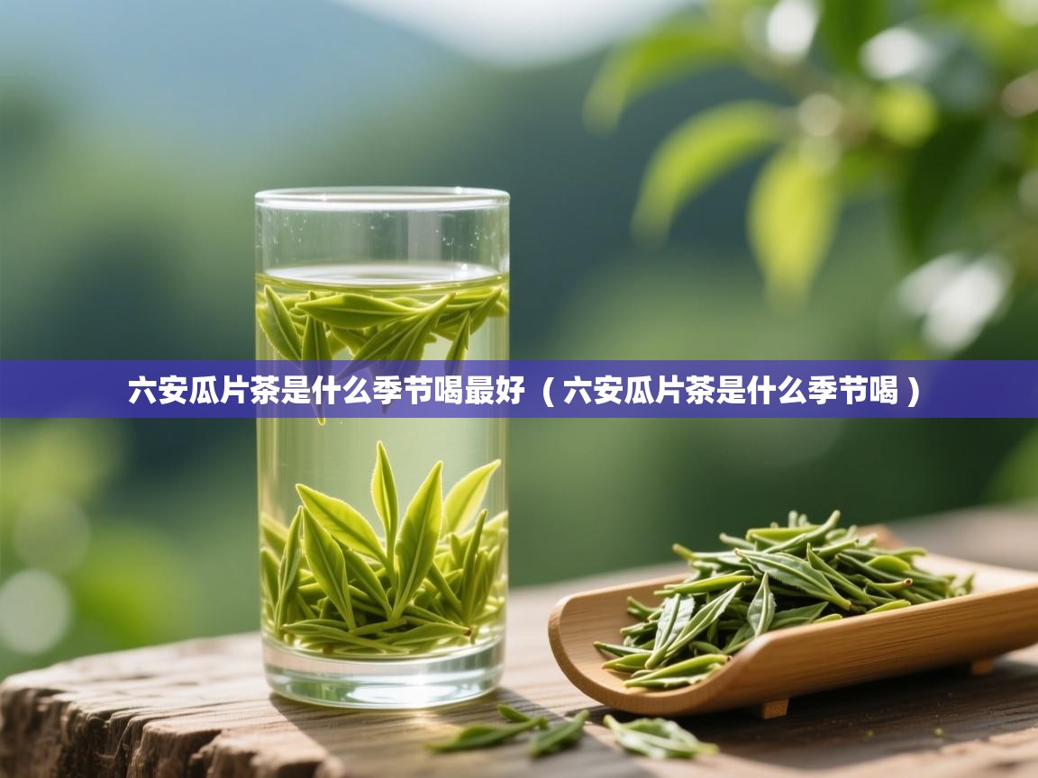  六安瓜片茶是什么季节喝最好  ( 六安瓜片茶是什么季节喝 )