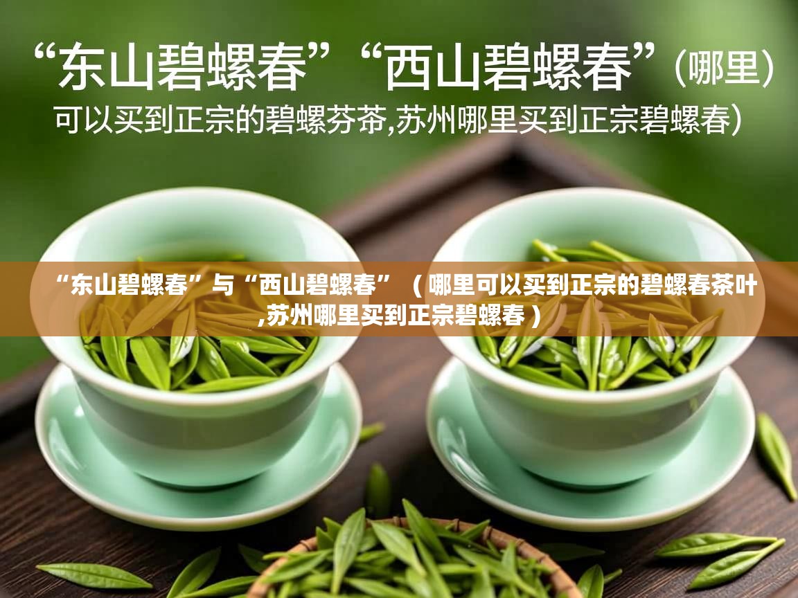  “东山碧螺春”与“西山碧螺春”  ( 哪里可以买到正宗的碧螺春茶叶,苏州哪里买到正宗碧螺春 )