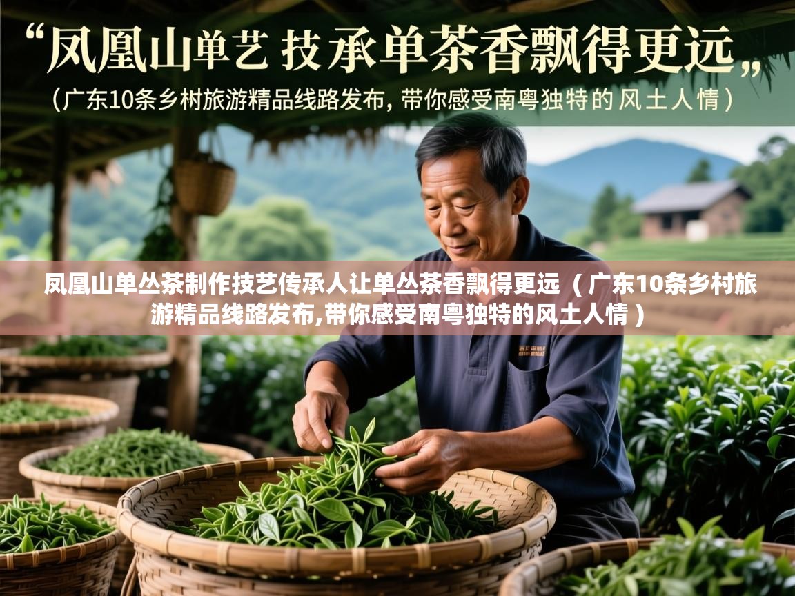  凤凰山单丛茶制作技艺传承人让单丛茶香飘得更远  ( 广东10条乡村旅游精品线路发布,带你感受南粤独特的风土人情 )