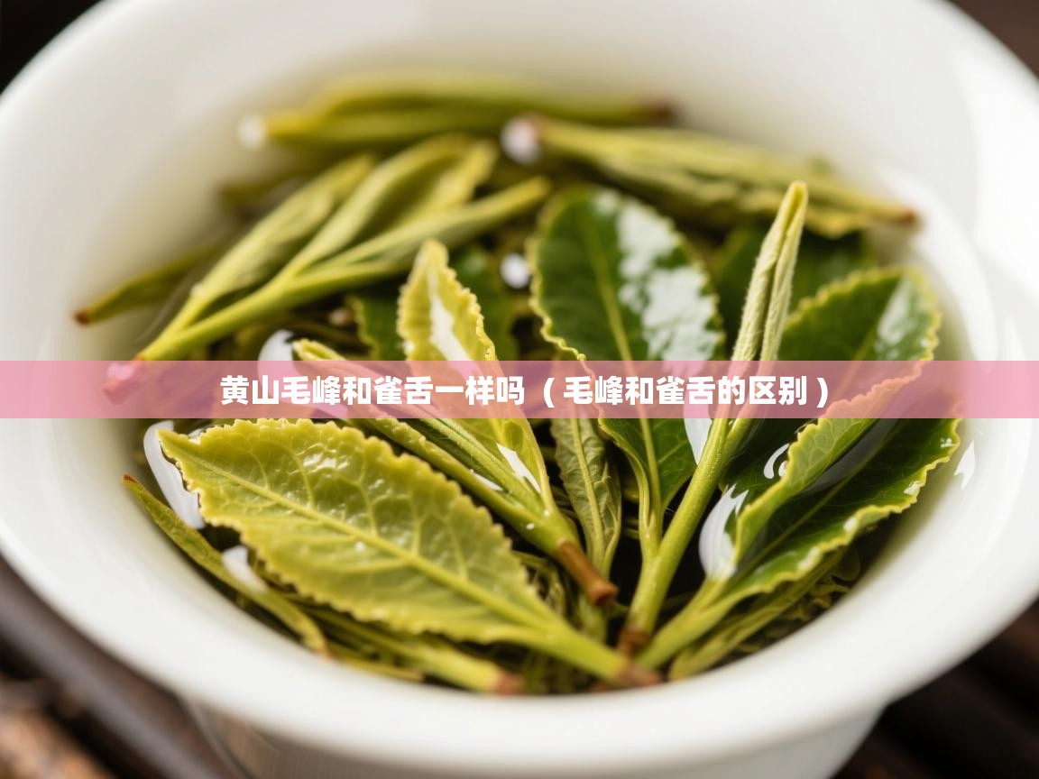  黄山毛峰和雀舌一样吗  ( 毛峰和雀舌的区别 )