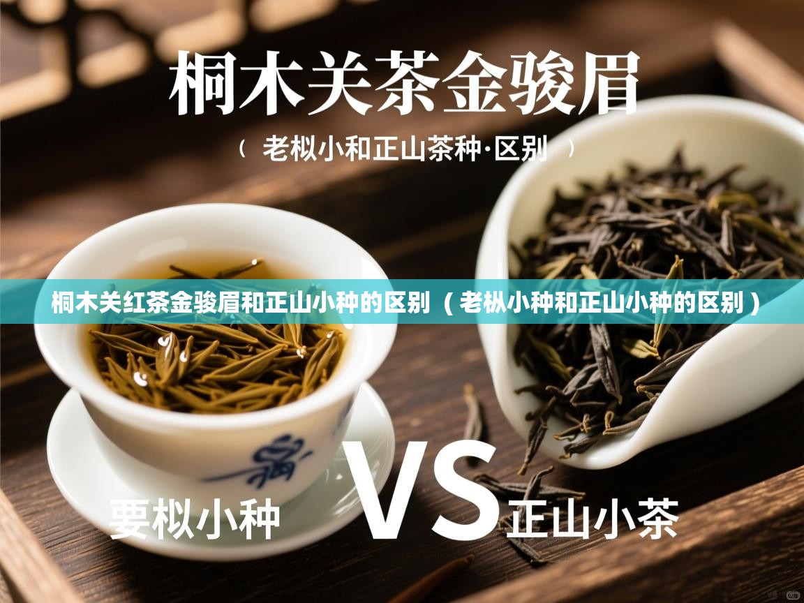  桐木关红茶金骏眉和正山小种的区别  ( 老枞小种和正山小种的区别 )