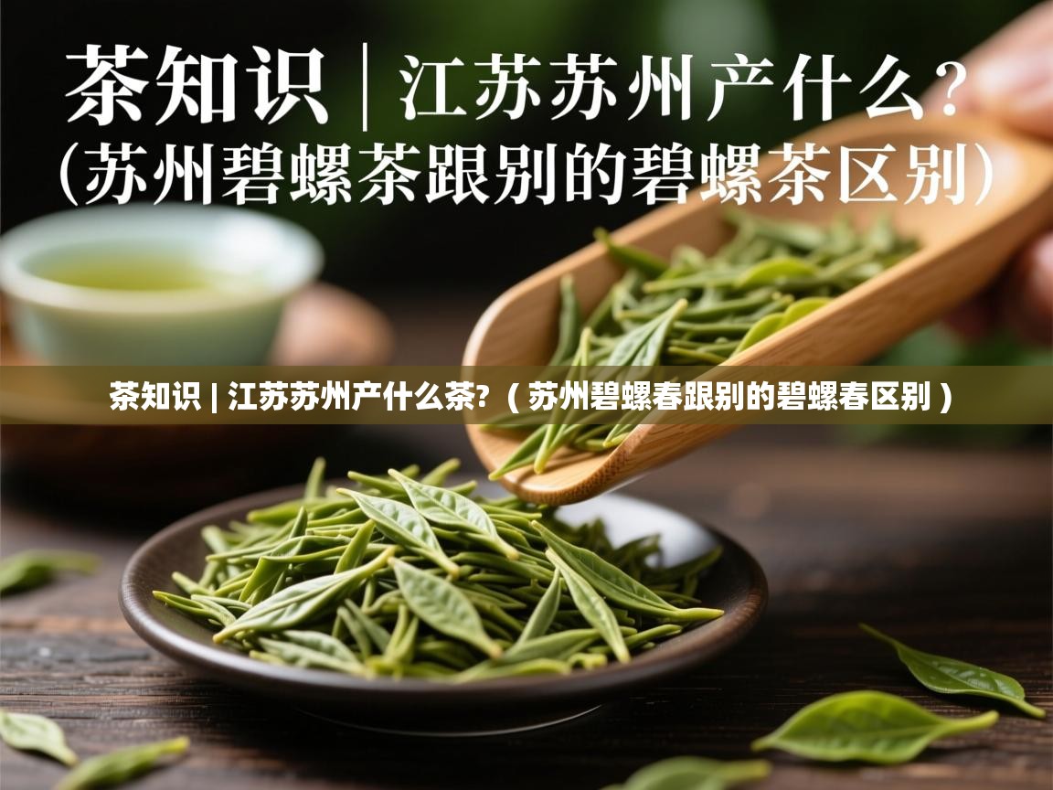  茶知识 | 江苏苏州产什么茶?  ( 苏州碧螺春跟别的碧螺春区别 )