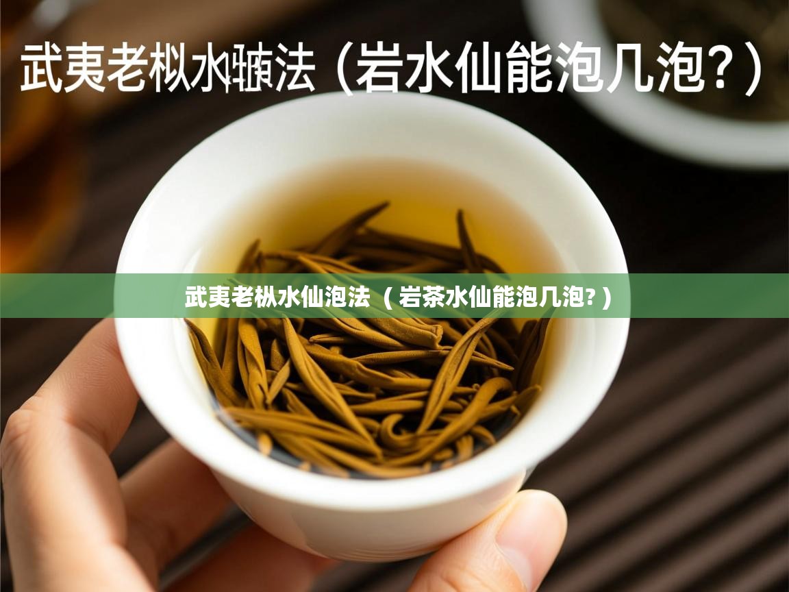  武夷老枞水仙泡法  ( 岩茶水仙能泡几泡? )
