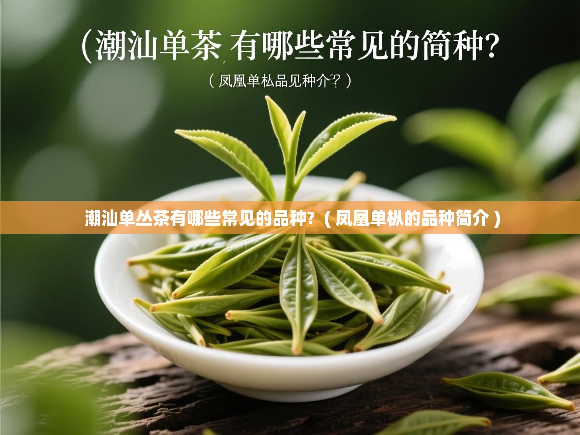  潮汕单丛茶有哪些常见的品种?  ( 凤凰单枞的品种简介 )