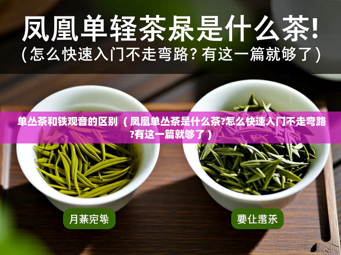  单丛茶和铁观音的区别  ( 凤凰单丛茶是什么茶?怎么快速入门不走弯路?有这一篇就够了 )