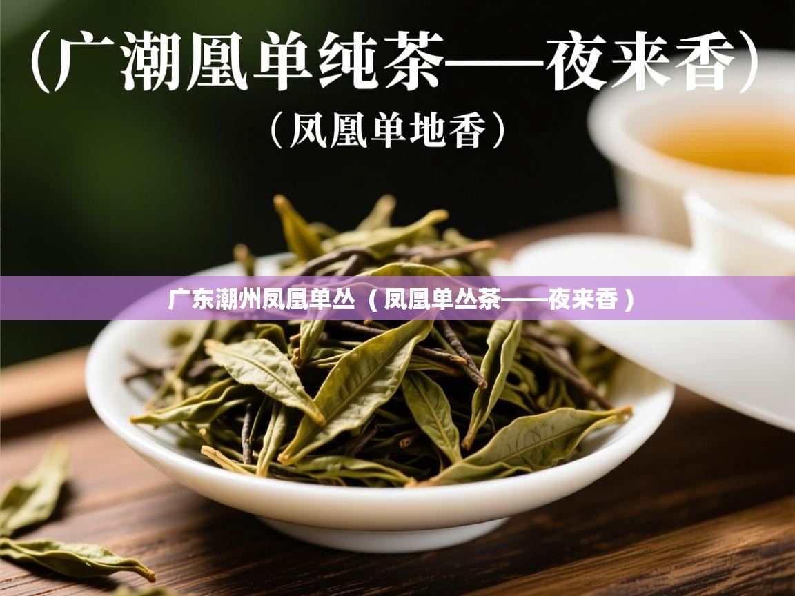 广东潮州凤凰单丛  ( 凤凰单丛茶——夜来香 )