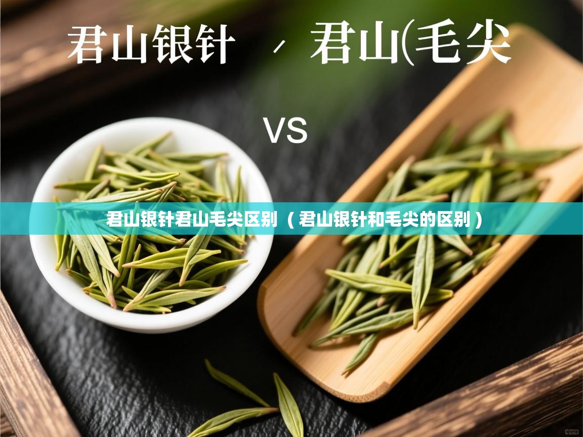  君山银针君山毛尖区别  ( 君山银针和毛尖的区别 )