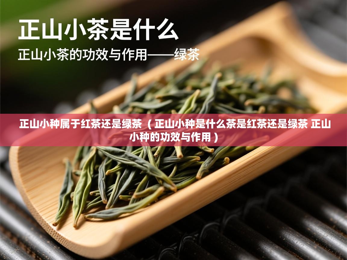  正山小种属于红茶还是绿茶  ( 正山小种是什么茶是红茶还是绿茶 正山小种的功效与作用 )