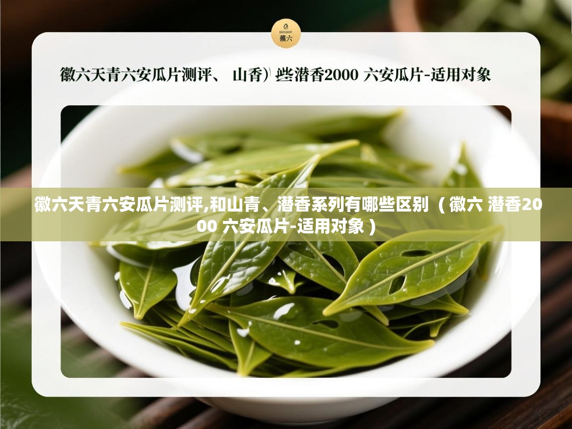  徽六天青六安瓜片测评,和山青、潜香系列有哪些区别  ( 徽六 潜香2000 六安瓜片-适用对象 )