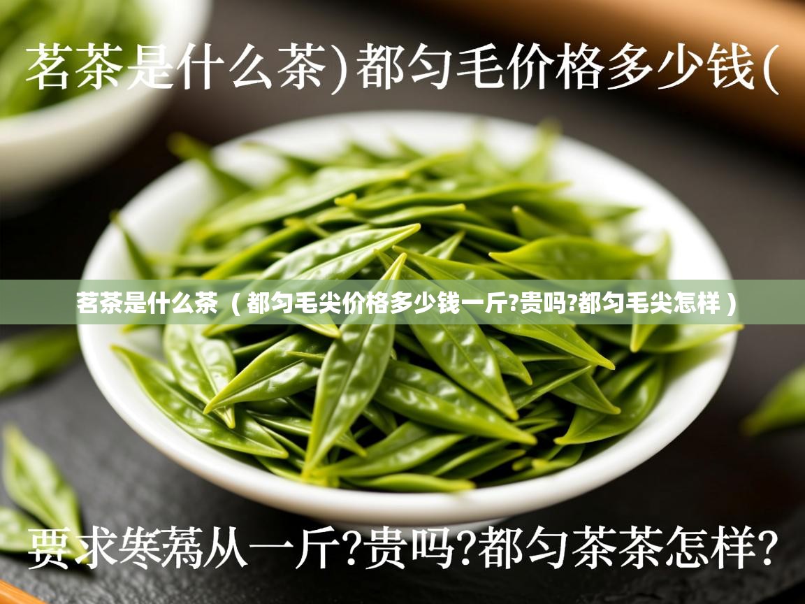  茗茶是什么茶  ( 都匀毛尖价格多少钱一斤?贵吗?都匀毛尖怎样 )