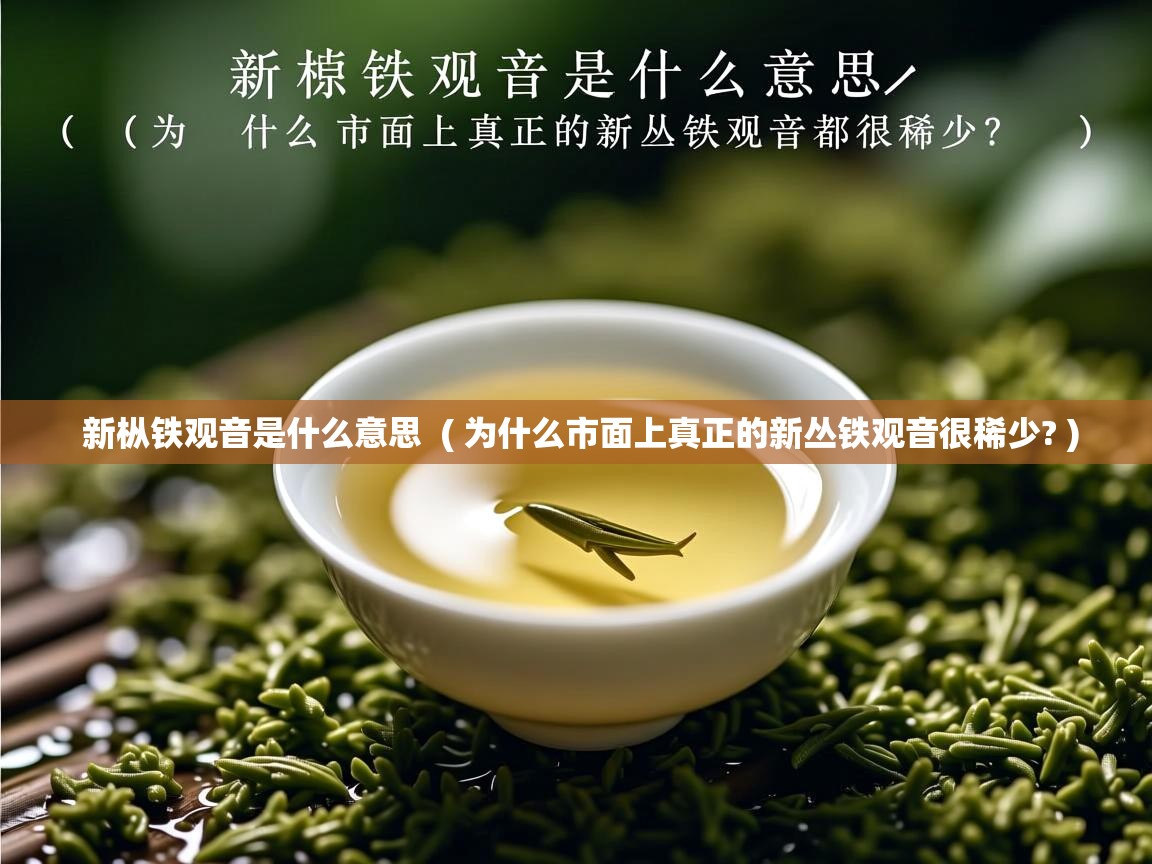 新枞铁观音是什么意思 ( 为什么市面上真正的新丛铁观音很稀少? ) 新枞铁观音是什么意思 ( 为什么市面上真正的新丛铁观音很稀少? )