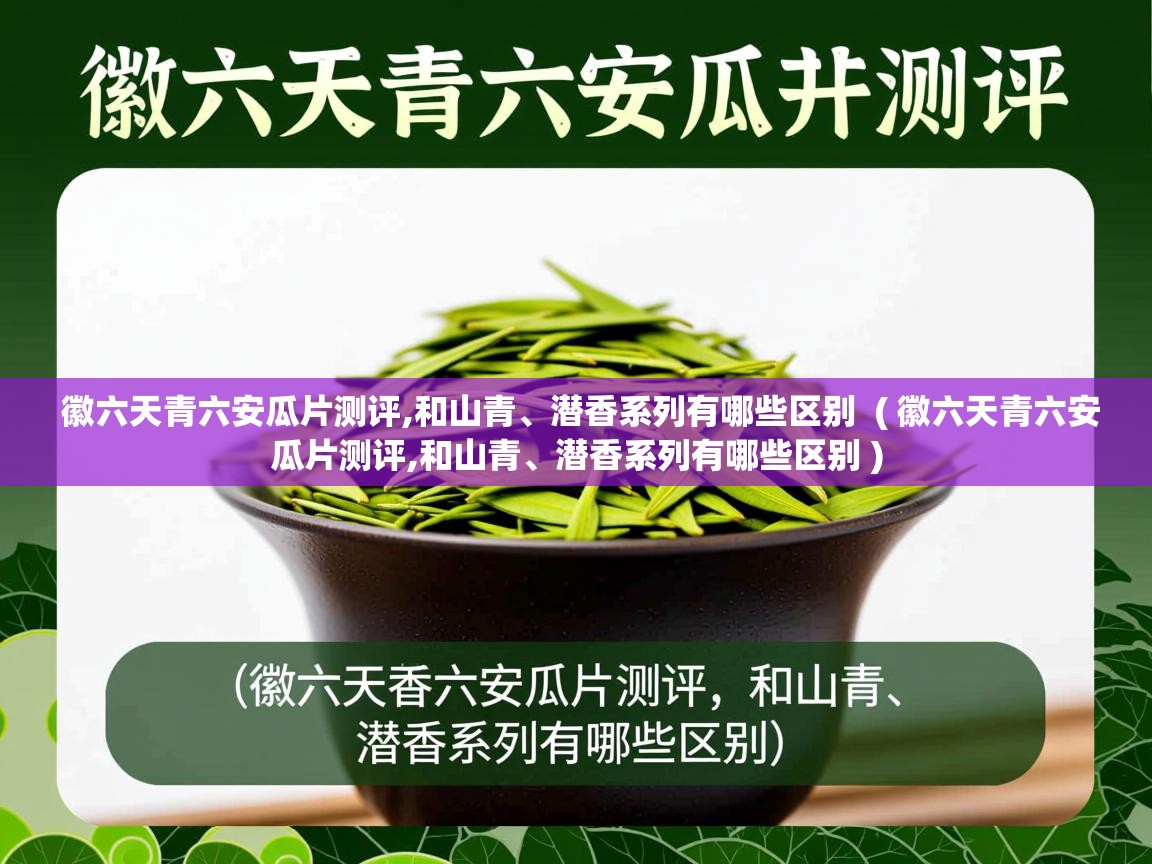  徽六天青六安瓜片测评,和山青、潜香系列有哪些区别  ( 徽六天青六安瓜片测评,和山青、潜香系列有哪些区别 )