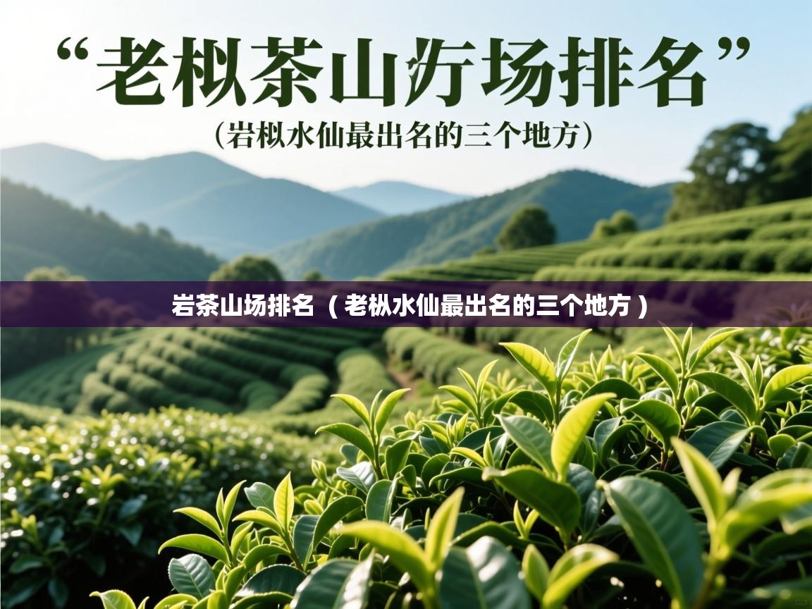  岩茶山场排名  ( 老枞水仙最出名的三个地方 )