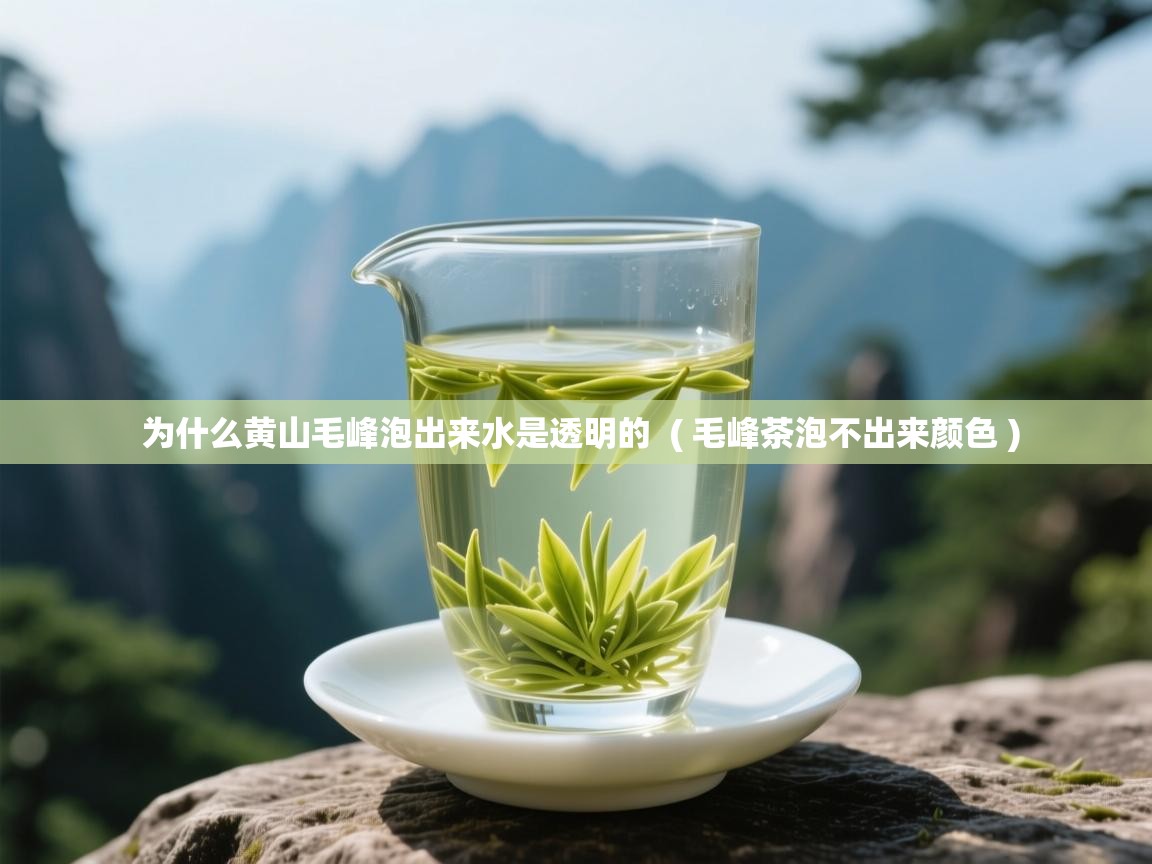  为什么黄山毛峰泡出来水是透明的  ( 毛峰茶泡不出来颜色 )