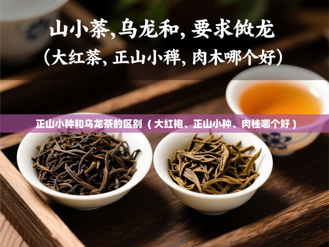  正山小种和乌龙茶的区别  ( 大红袍、正山小种、肉桂哪个好 )