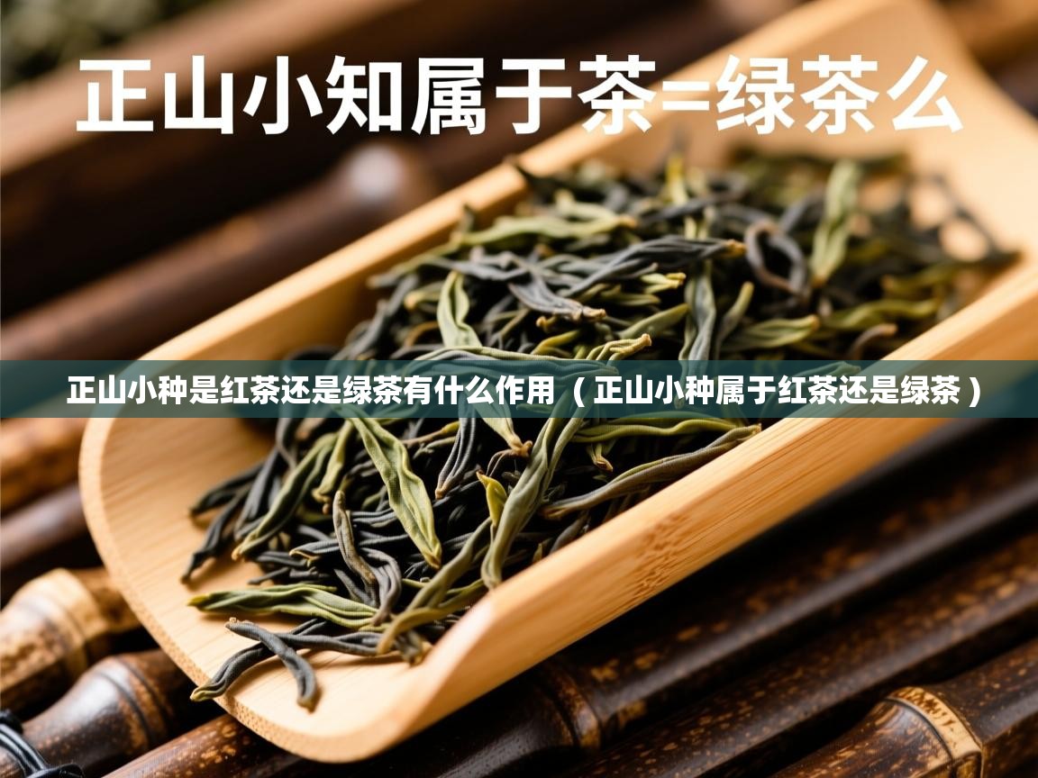  正山小种是红茶还是绿茶有什么作用  ( 正山小种属于红茶还是绿茶 )
