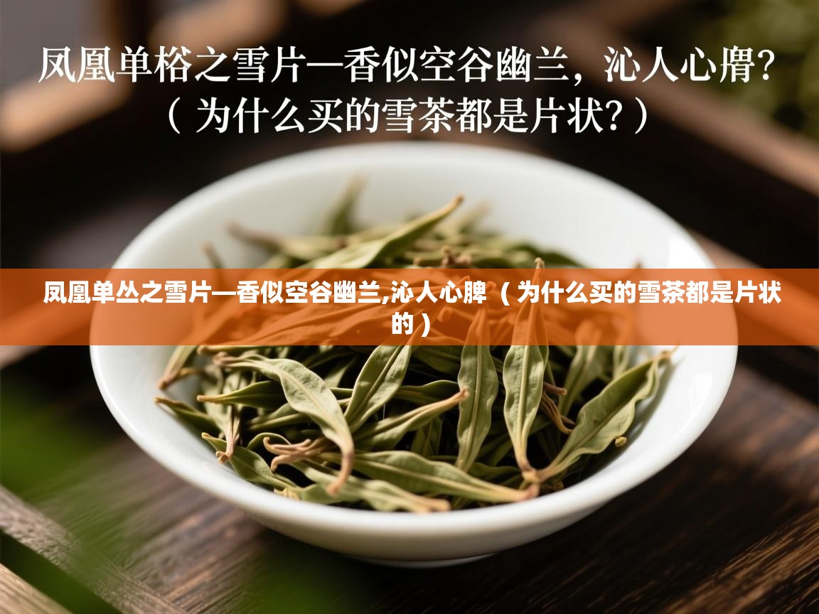  凤凰单丛之雪片—香似空谷幽兰,沁人心脾  ( 为什么买的雪茶都是片状的 )