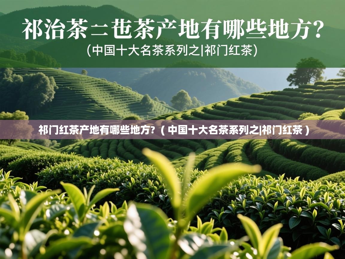  祁门红茶产地有哪些地方?  ( 中国十大名茶系列之|祁门红茶 )
