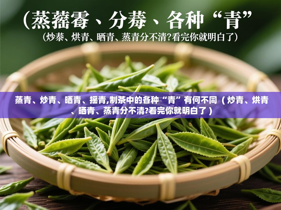  蒸青、炒青、晒青、摇青,制茶中的各种“青”有何不同  ( 炒青、烘青、晒青、蒸青分不清?看完你就明白了 )