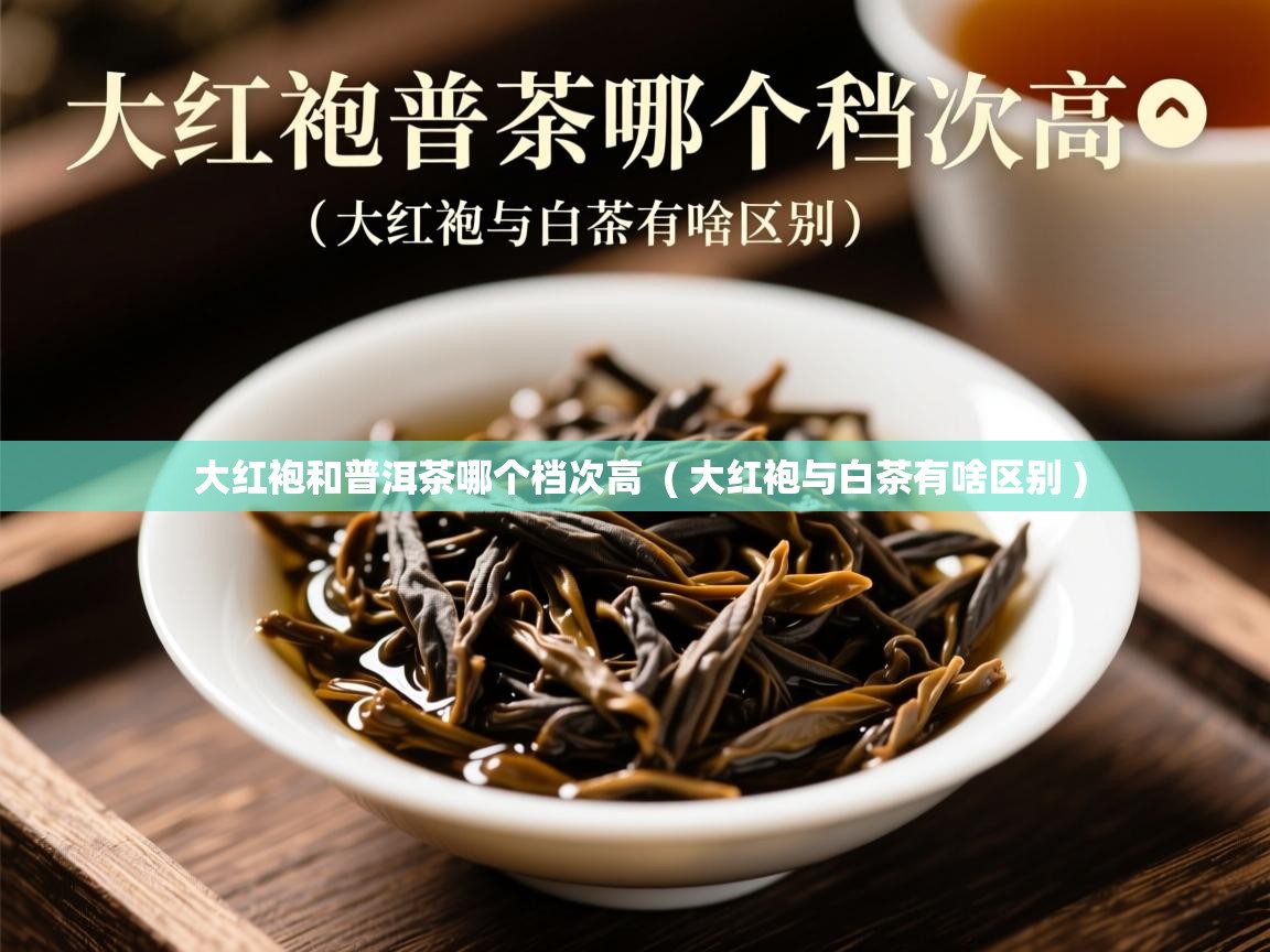  大红袍和普洱茶哪个档次高  ( 大红袍与白茶有啥区别 )
