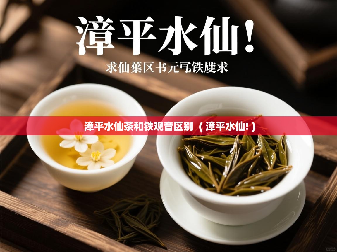  漳平水仙茶和铁观音区别  ( 漳平水仙! )