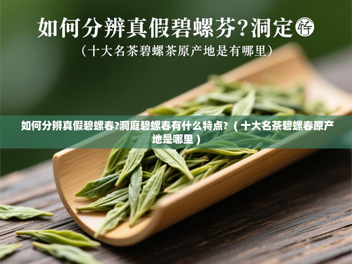  如何分辨真假碧螺春?洞庭碧螺春有什么特点?  ( 十大名茶碧螺春原产地是哪里 )