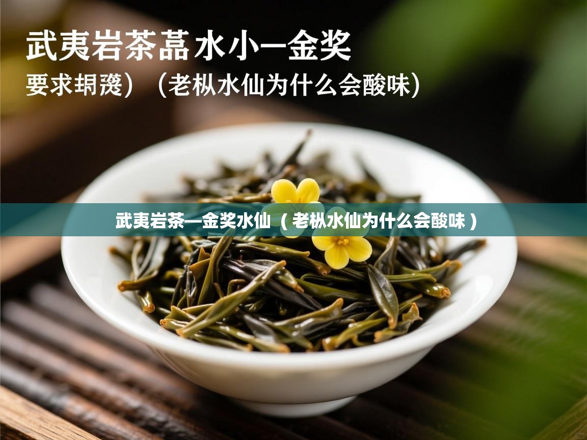 武夷岩茶—金奖水仙 ( 老枞水仙为什么会酸味 ) 武夷岩茶—金奖水仙 ( 老枞水仙为什么会酸味 )