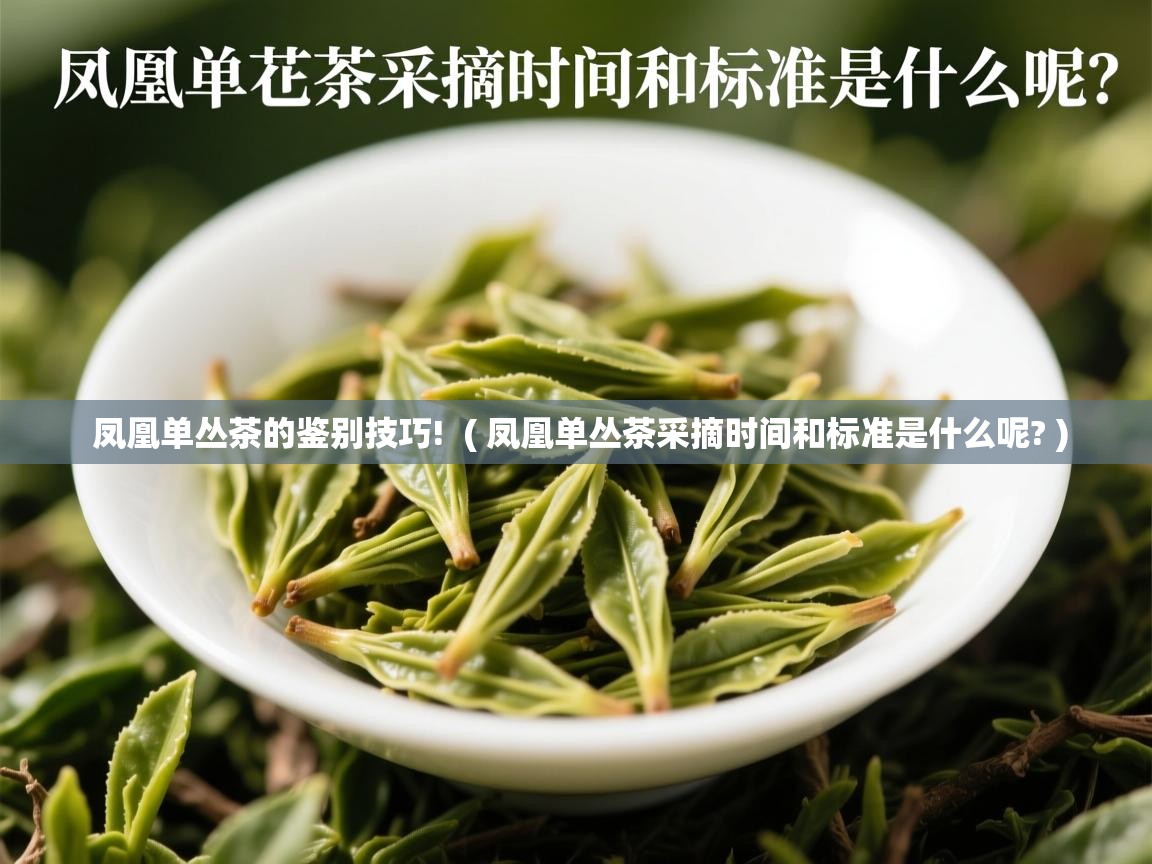 凤凰单丛茶的鉴别技巧! ( 凤凰单丛茶采摘时间和标准是什么呢? ) 凤凰单丛茶的鉴别技巧! ( 凤凰单丛茶采摘时间和标准是什么呢? )