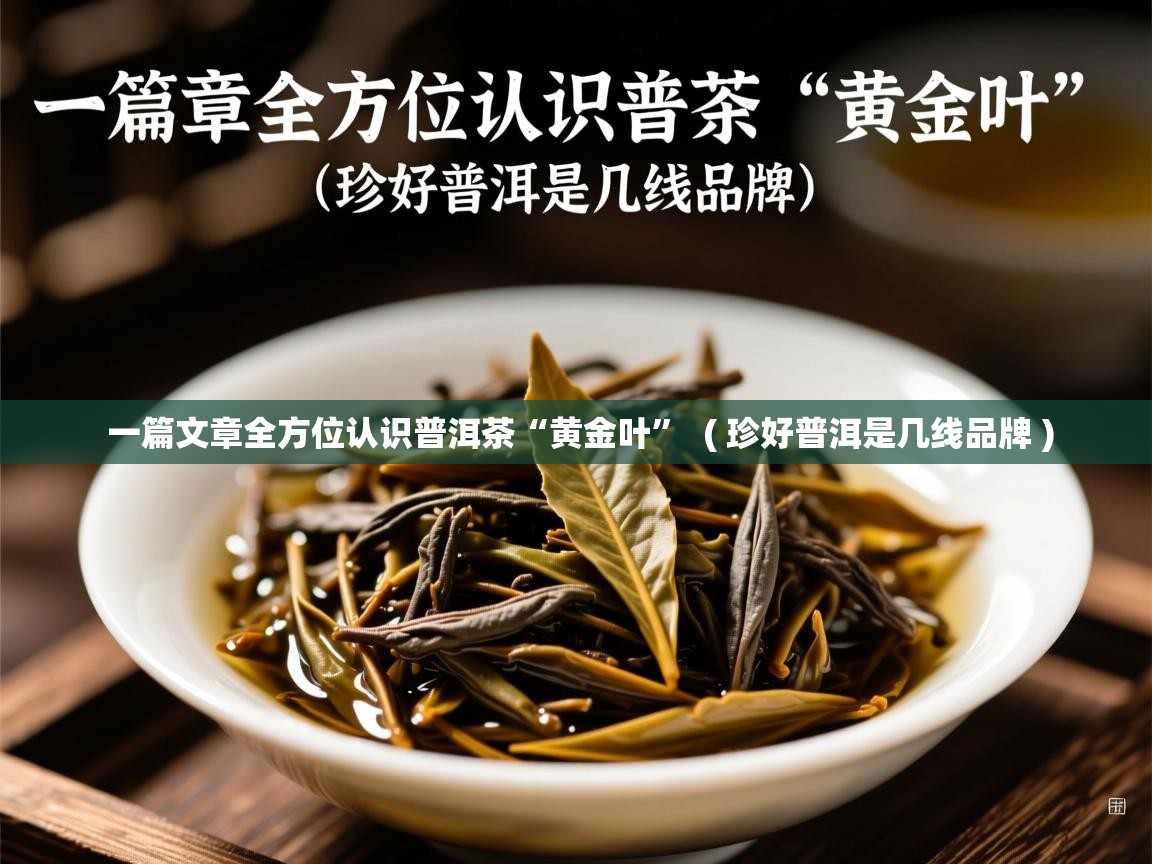  一篇文章全方位认识普洱茶“黄金叶”  ( 珍好普洱是几线品牌 )