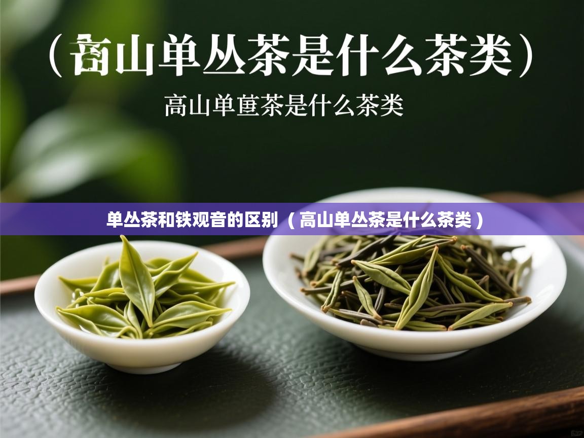  单丛茶和铁观音的区别  ( 高山单丛茶是什么茶类 )