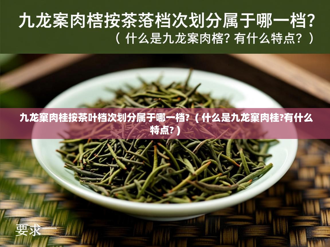  九龙窠肉桂按茶叶档次划分属于哪一档?  ( 什么是九龙窠肉桂?有什么特点? )