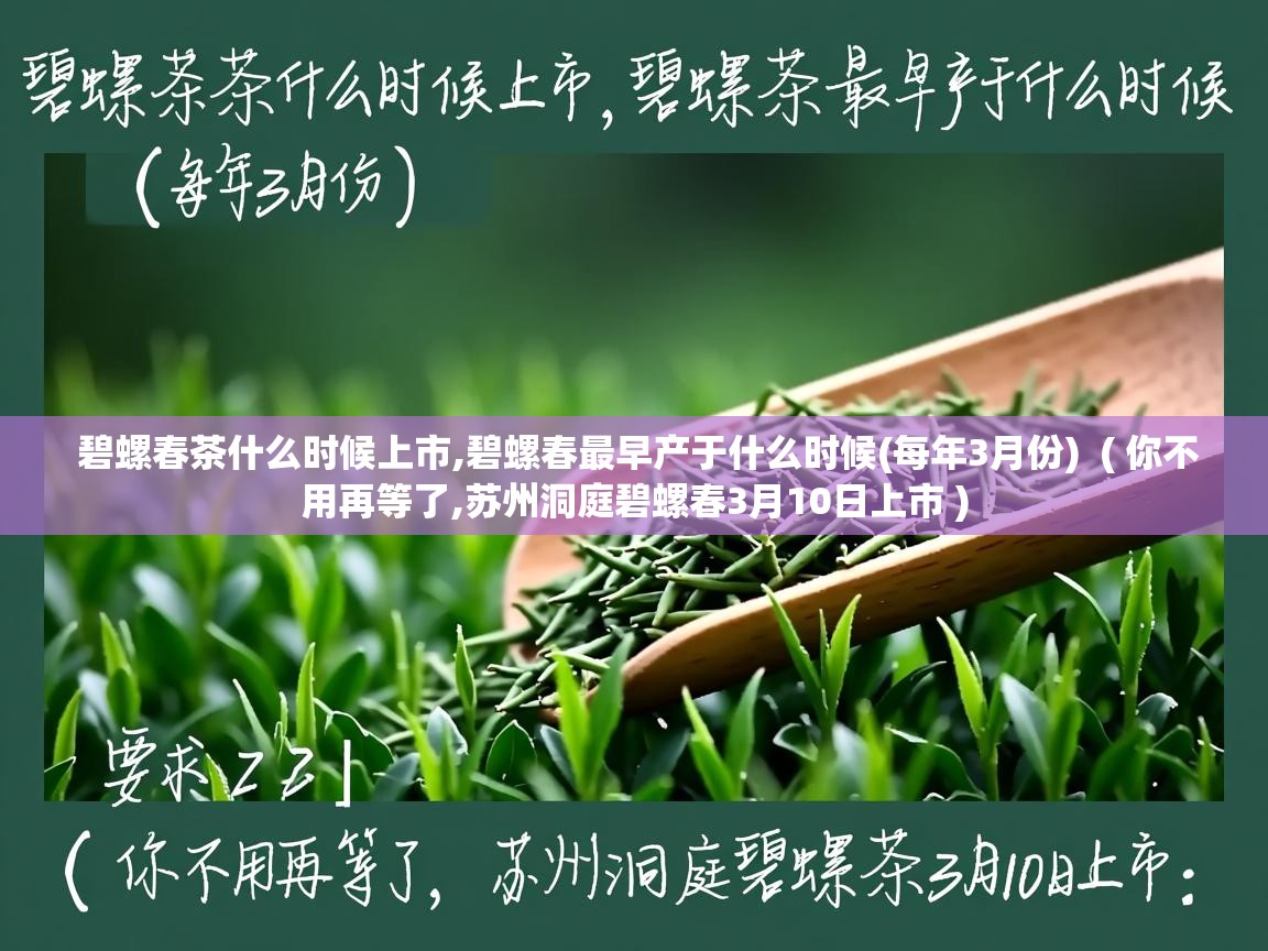  碧螺春茶什么时候上市,碧螺春最早产于什么时候(每年3月份)  ( 你不用再等了,苏州洞庭碧螺春3月10日上市 )