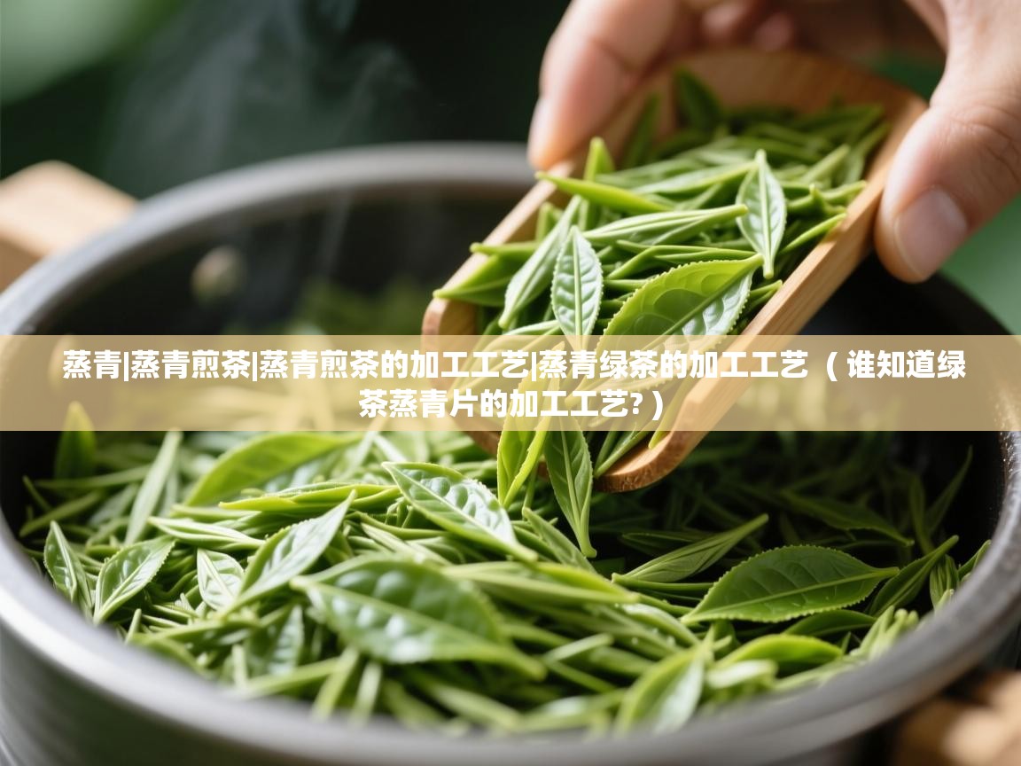  蒸青|蒸青煎茶|蒸青煎茶的加工工艺|蒸青绿茶的加工工艺  ( 谁知道绿茶蒸青片的加工工艺? )