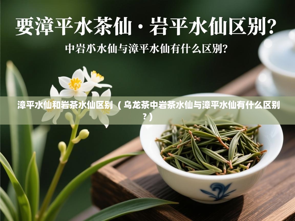  漳平水仙和岩茶水仙区别  ( 乌龙茶中岩茶水仙与漳平水仙有什么区别? )