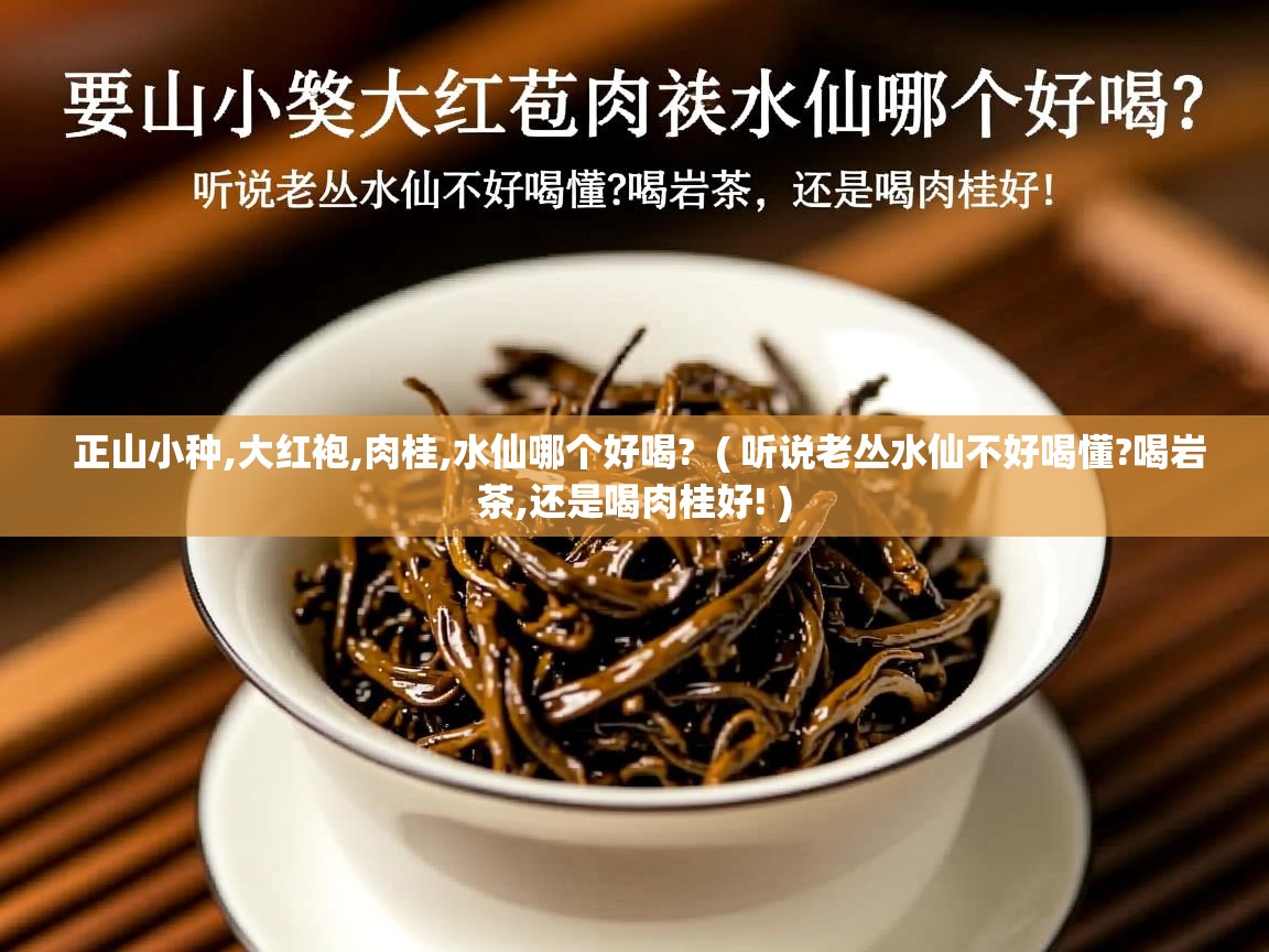  正山小种,大红袍,肉桂,水仙哪个好喝?  ( 听说老丛水仙不好喝懂?喝岩茶,还是喝肉桂好! )