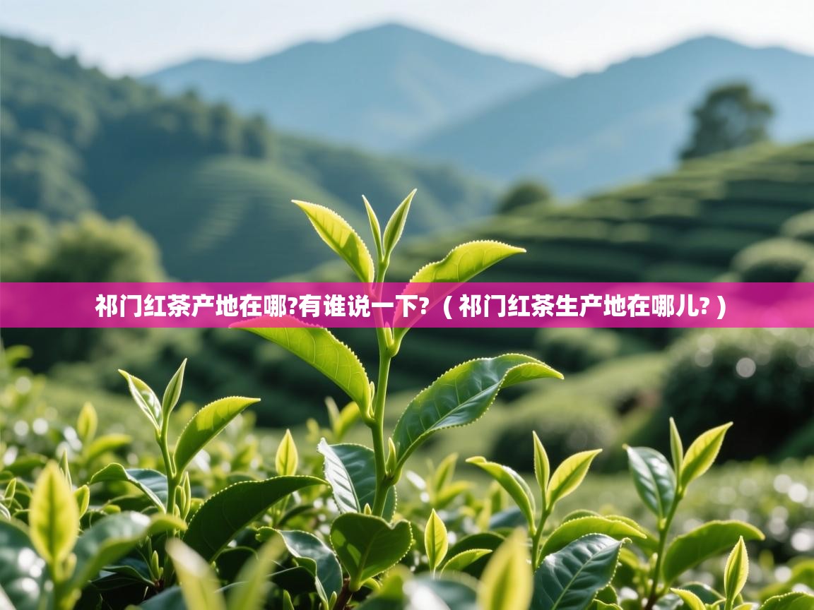  祁门红茶产地在哪?有谁说一下?  ( 祁门红茶生产地在哪儿? )