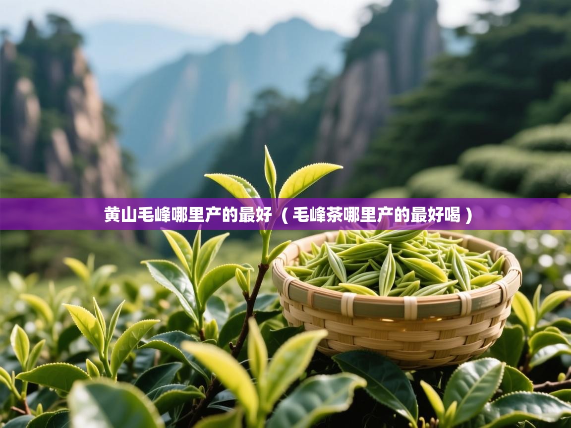  黄山毛峰哪里产的最好  ( 毛峰茶哪里产的最好喝 )