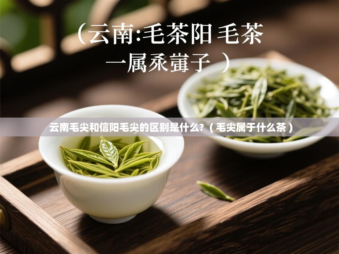  云南毛尖和信阳毛尖的区别是什么?  ( 毛尖属于什么茶 )