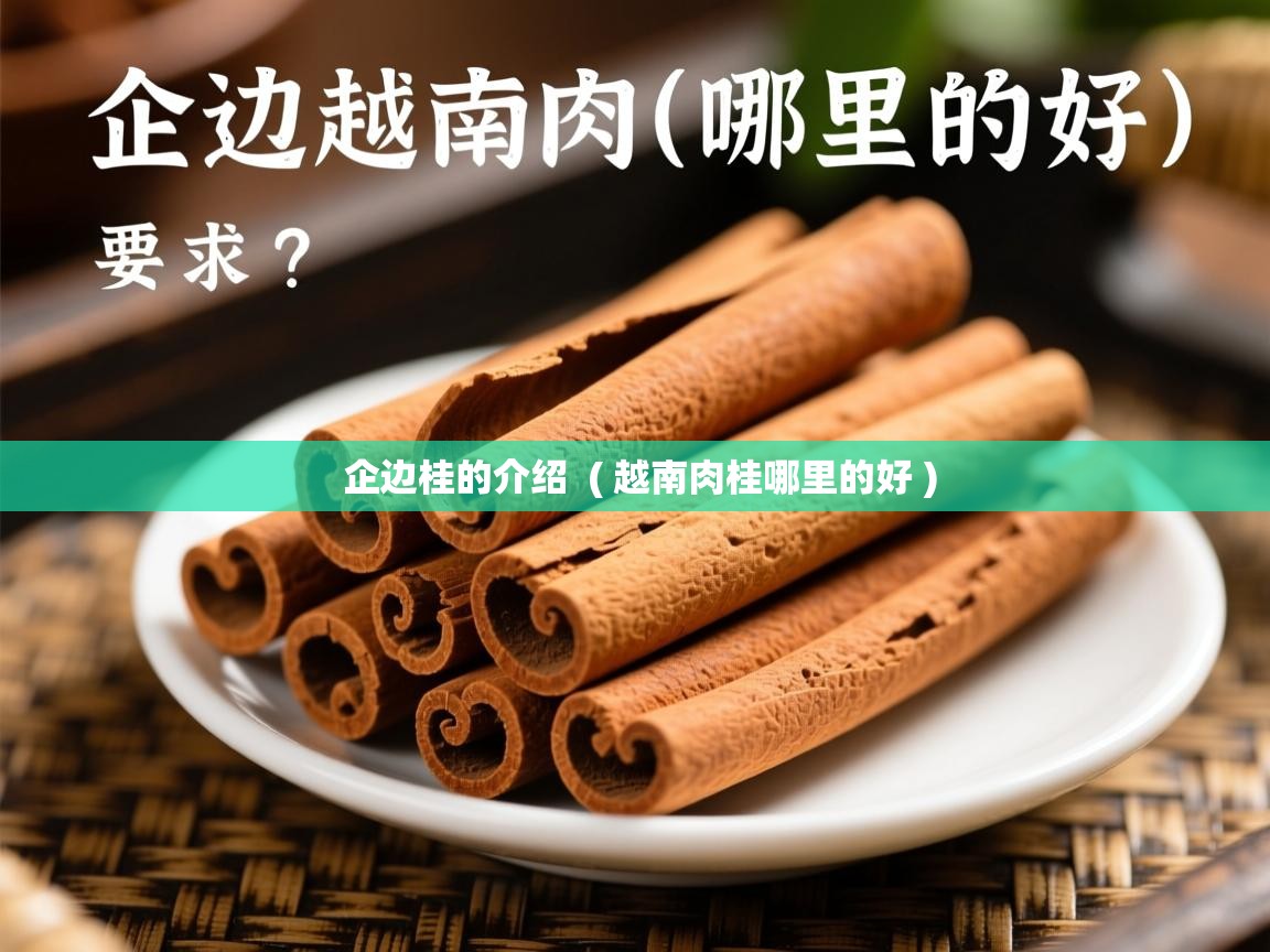  企边桂的介绍  ( 越南肉桂哪里的好 )