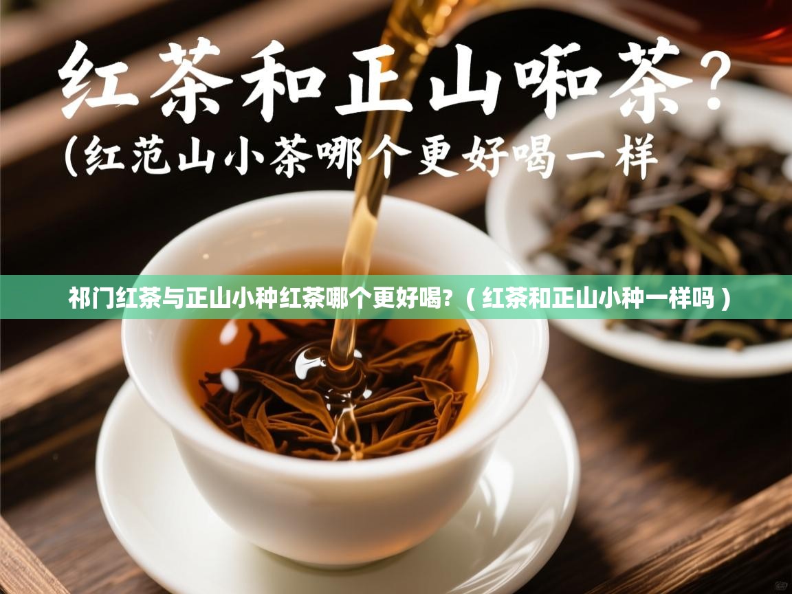  祁门红茶与正山小种红茶哪个更好喝?  ( 红茶和正山小种一样吗 )