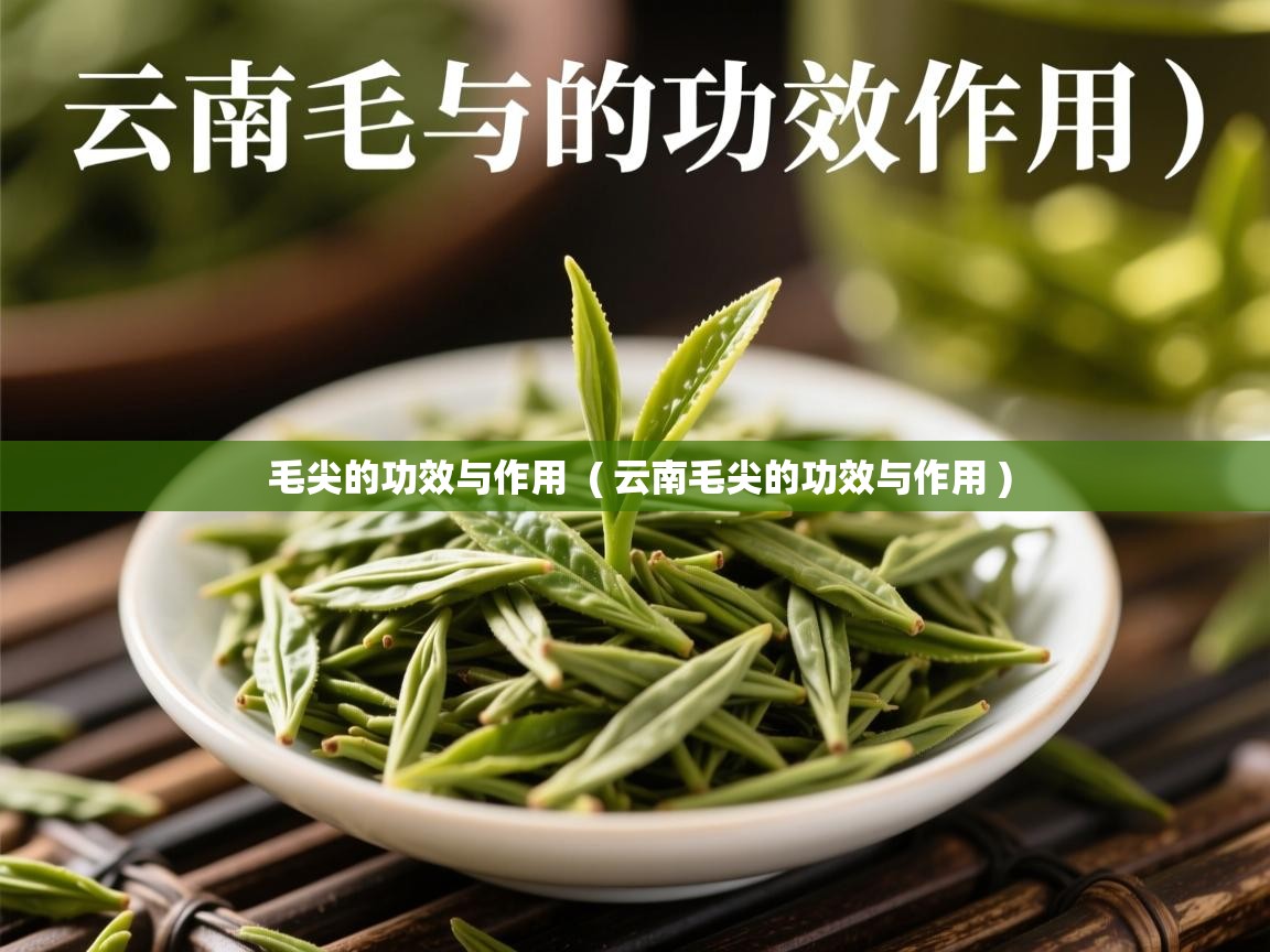  毛尖的功效与作用  ( 云南毛尖的功效与作用 )