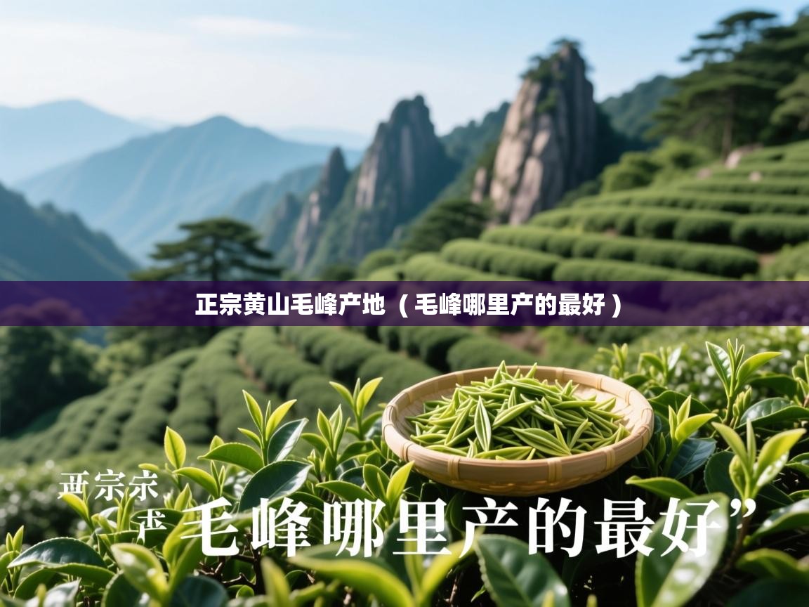 正宗黄山毛峰产地  ( 毛峰哪里产的最好 )