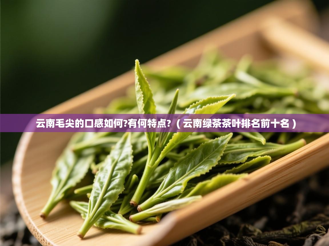  云南毛尖的口感如何?有何特点?  ( 云南绿茶茶叶排名前十名 )