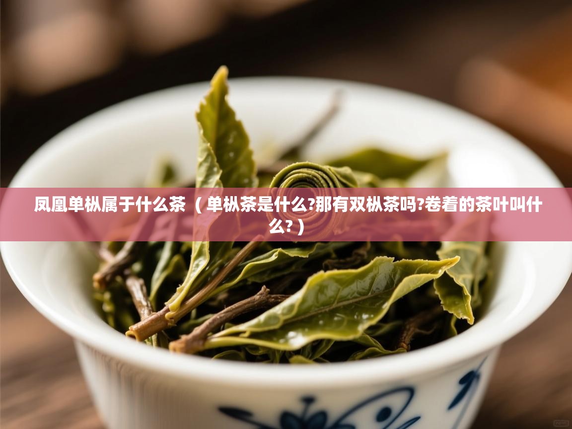  凤凰单枞属于什么茶  ( 单枞茶是什么?那有双枞茶吗?卷着的茶叶叫什么? )