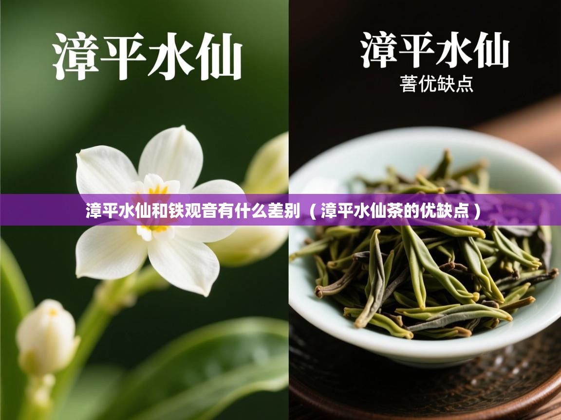  漳平水仙和铁观音有什么差别  ( 漳平水仙茶的优缺点 )