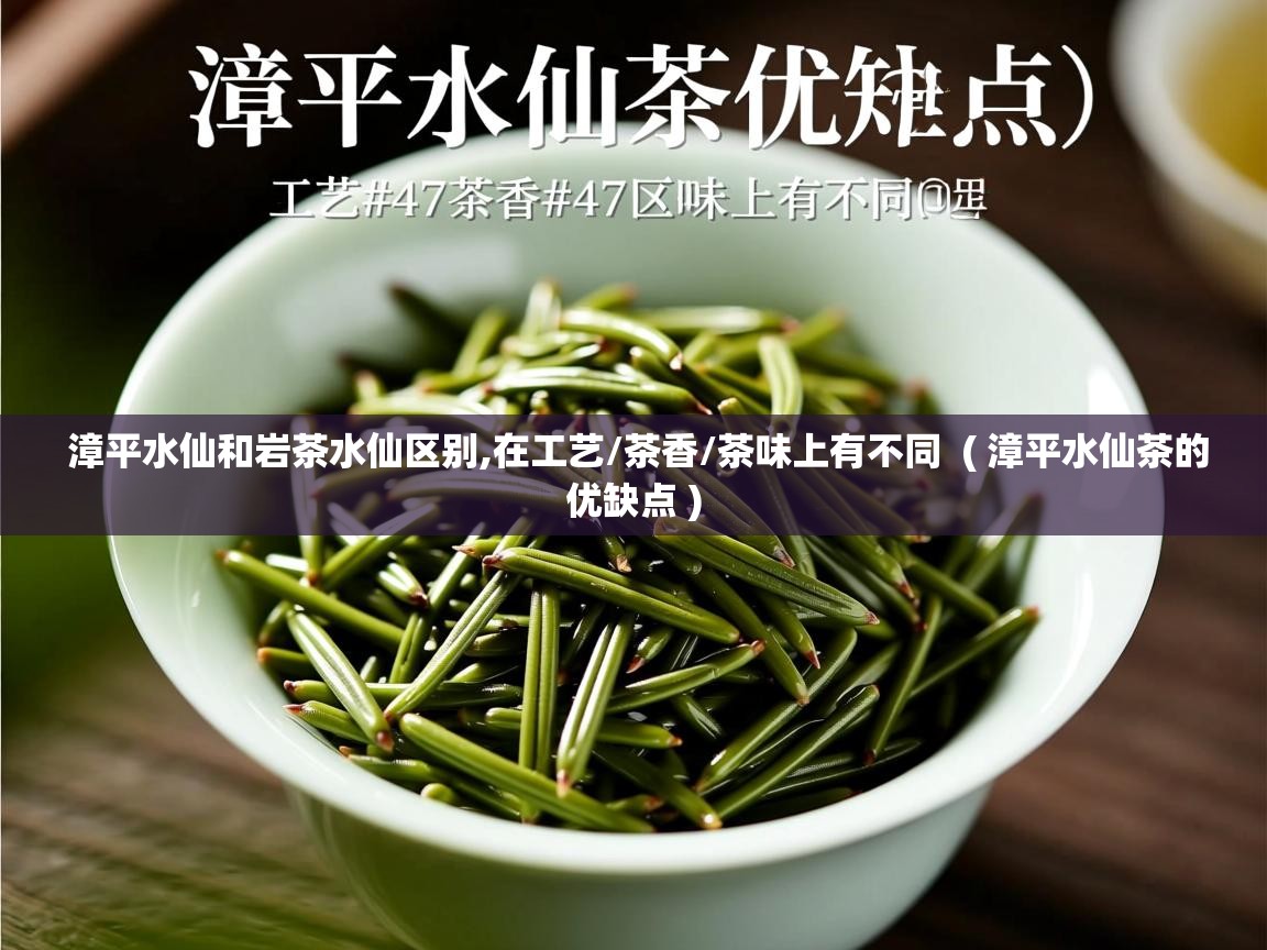  漳平水仙和岩茶水仙区别,在工艺/茶香/茶味上有不同  ( 漳平水仙茶的优缺点 )