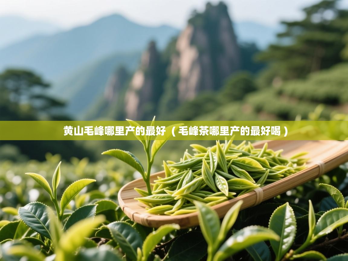  黄山毛峰哪里产的最好  ( 毛峰茶哪里产的最好喝 )