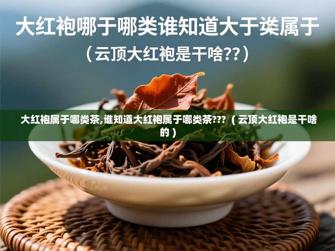 大红袍属于哪类茶,谁知道大红袍属于哪类茶??? ( 云顶大红袍是干啥的 ) 大红袍属于哪类茶,谁知道大红袍属于哪类茶??? ( 云顶大红袍是干啥的 )