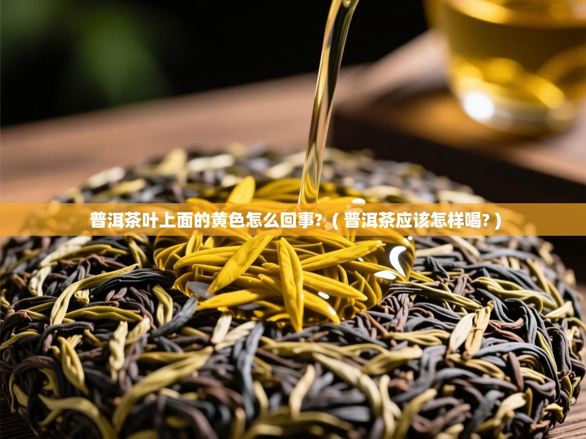  普洱茶叶上面的黄色怎么回事?  ( 普洱茶应该怎样喝? )